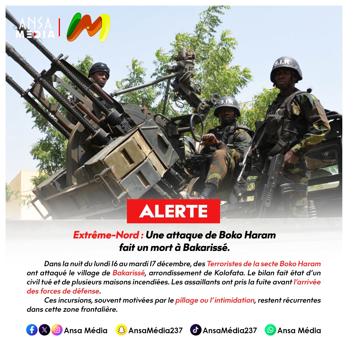 Extrême-Nord : Une attaque de Boko Haram fait un mort à Bakarissé.