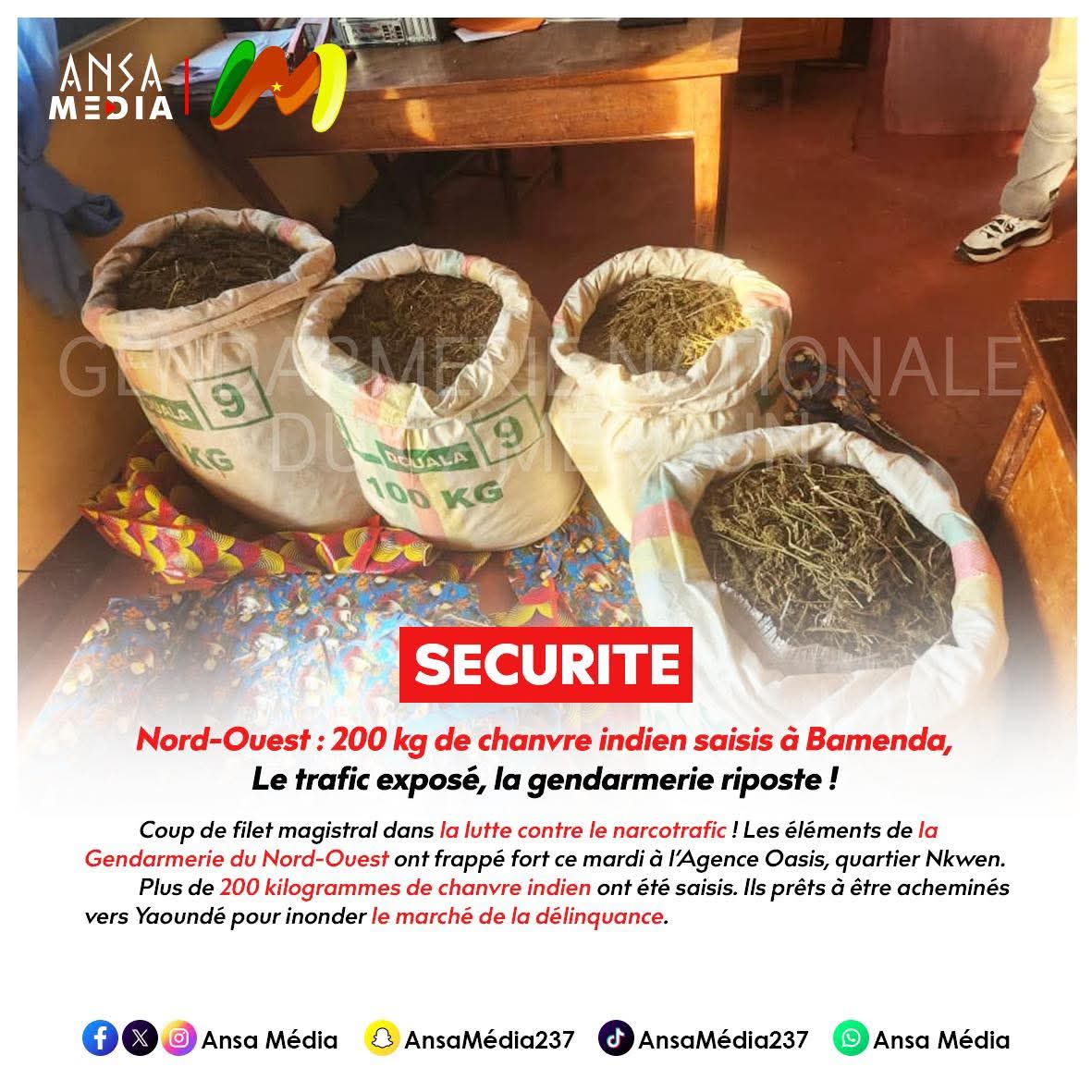 Nord-Ouest : 200 kg de chanvre indien saisis à Bamenda