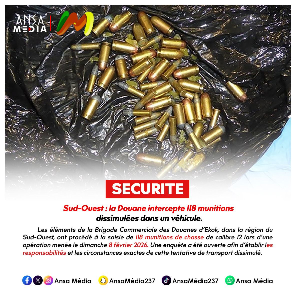 Sud-Ouest : la Douane intercepte 118 munitions dissimulées dans un véhicule.