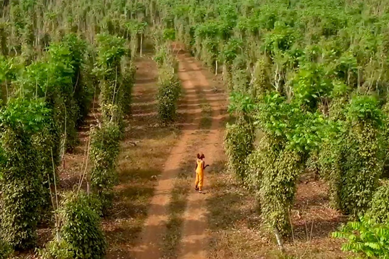 Le futur africain est agricole