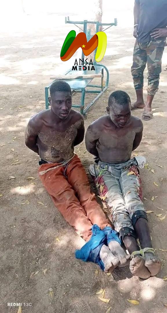 Alerte sécuritaire à la frontière Cameroun–Nigéria après une attaque d’ISWAP.