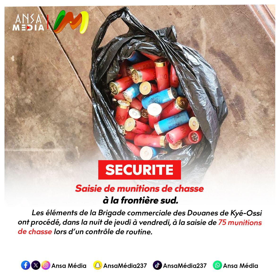 Saisie de munitions de chasse à la frontière sud.