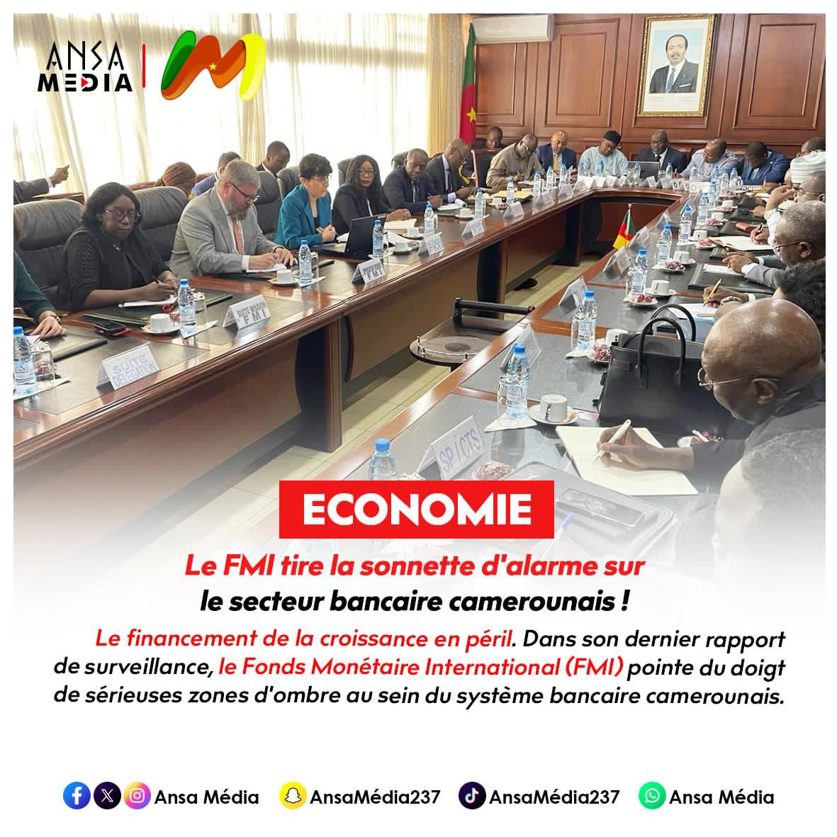 Le FMI tire la sonnette d'alarme sur le secteur bancaire camerounais !