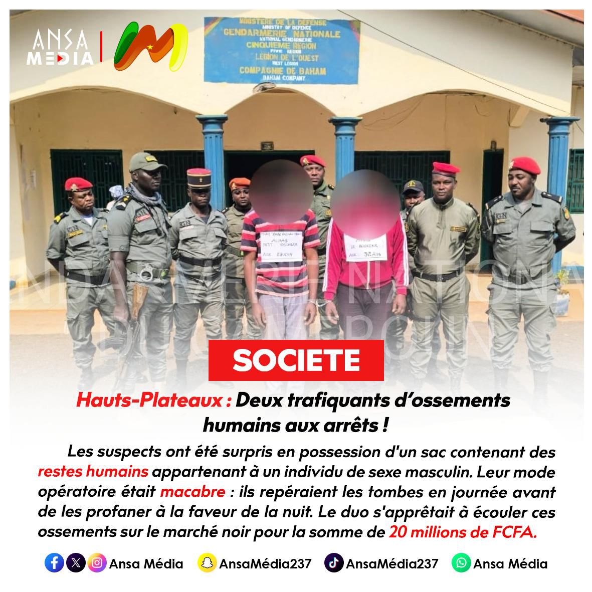 Hauts-Plateaux : Deux trafiquants d’ossements humains aux arrêts !
