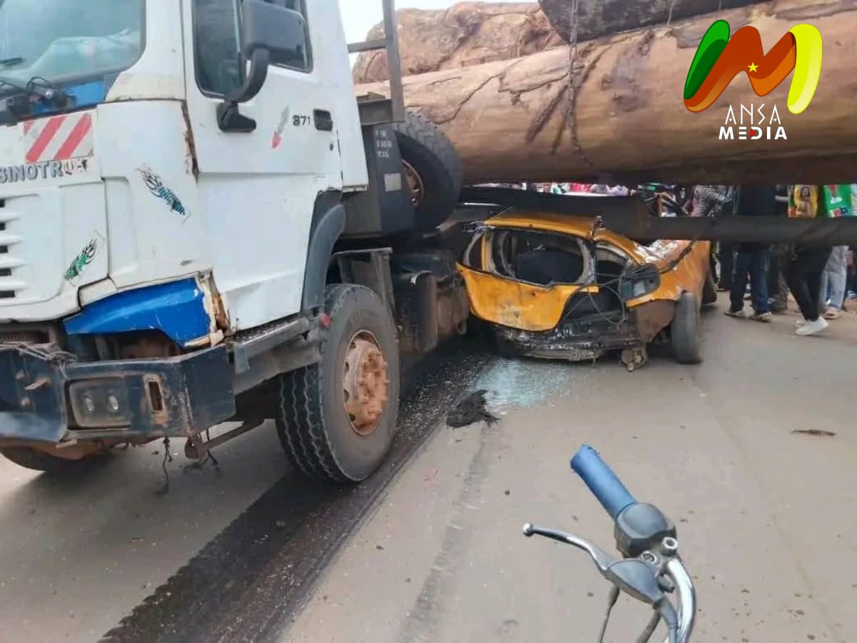 Yaoundé : un camion-grumier provoque un grave accident.