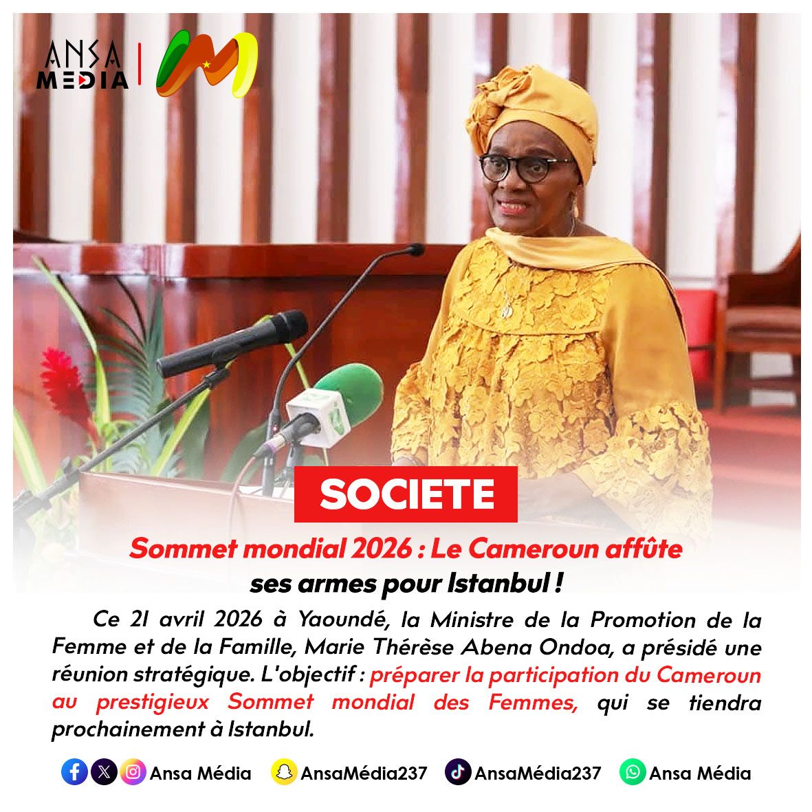 Sommet mondial 2026 : Le Cameroun affûte ses armes pour Istanbul !