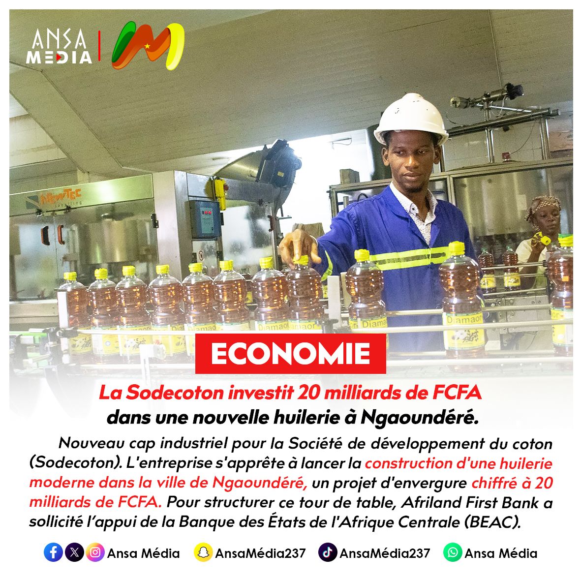 La Sodecoton investit 20 milliards de FCFA dans une nouvelle huilerie à Ngaoundéré.