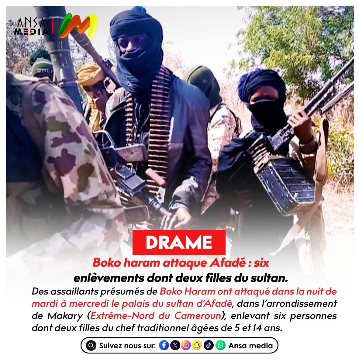 Boko haram attaque Afadé : six enlèvements dont deux filles du sultan.