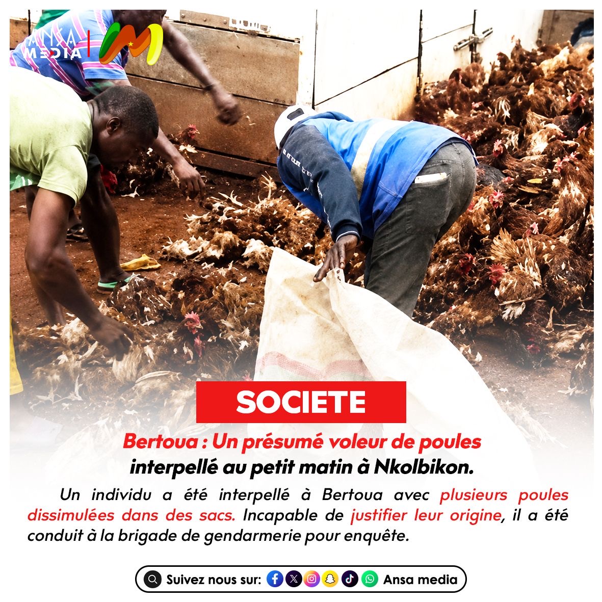 Bertoua : Un présumé voleur de poules interpellé au petit matin à Nkolbikon.