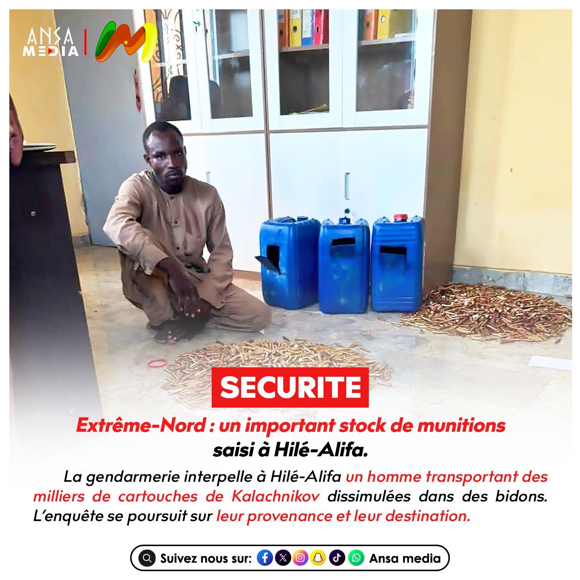 Extrême-Nord : un important stock de munitions saisi à Hilé-Alifa.