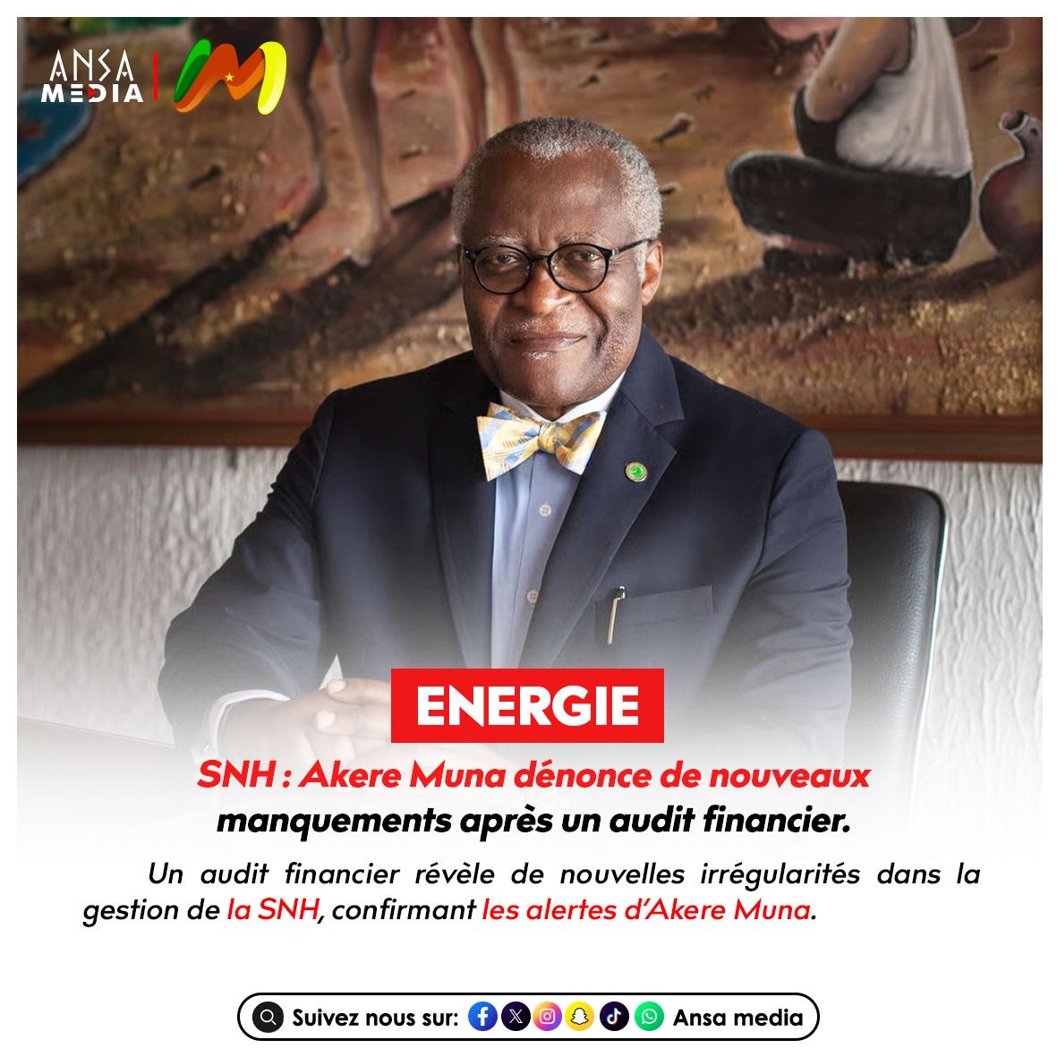 SNH : Le bâtonnier Akere Muna pointe de nouveaux manquements après la publication d'un audit financier.
