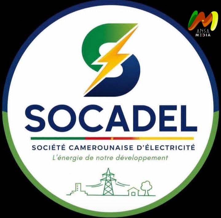Le gouvernement vise 4 milliards FCFA de recettes mensuelles supplémentaires pour la SOCADEL.