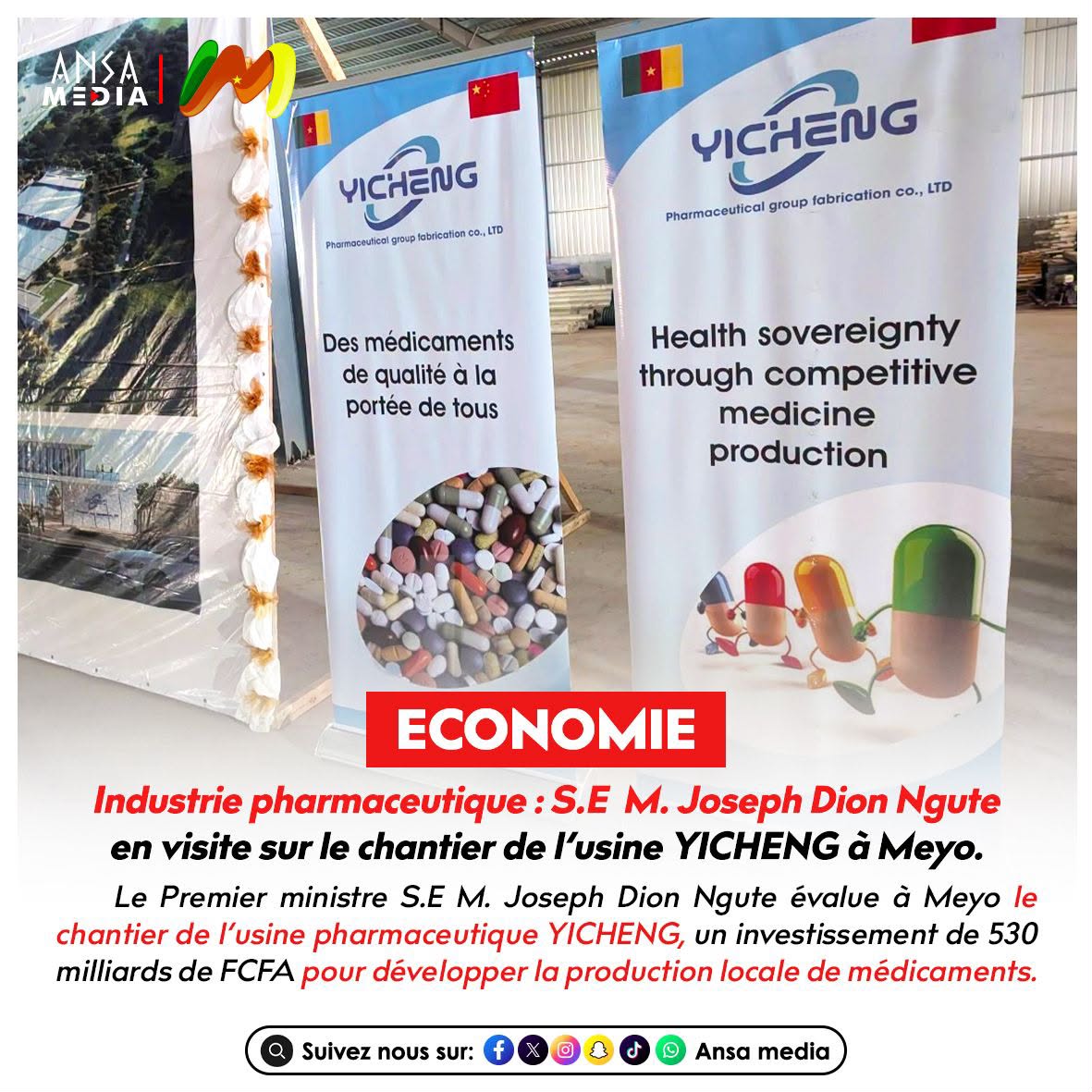 S.E M. Joseph Dion Ngute en visite sur le chantier de l’usine YICHENG à Meyo.